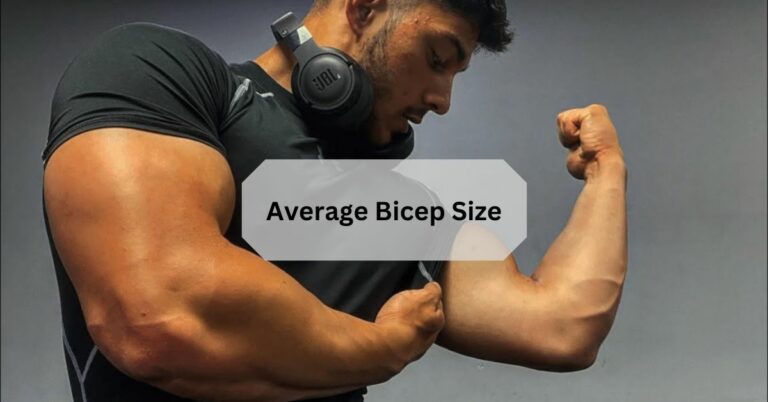 Average Bicep Size