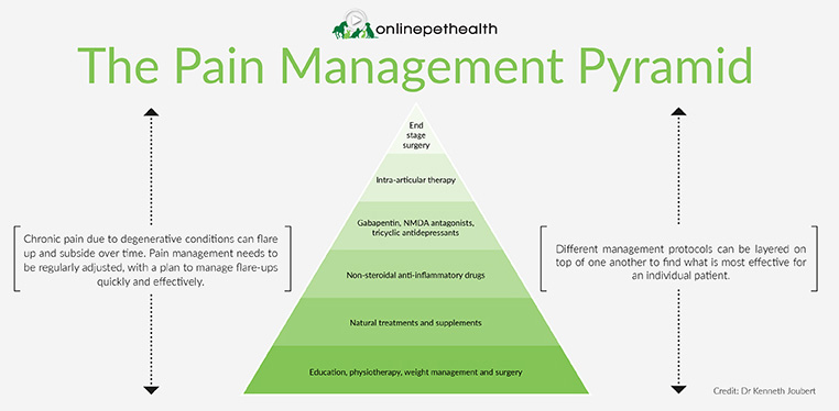 What Is Pain Management