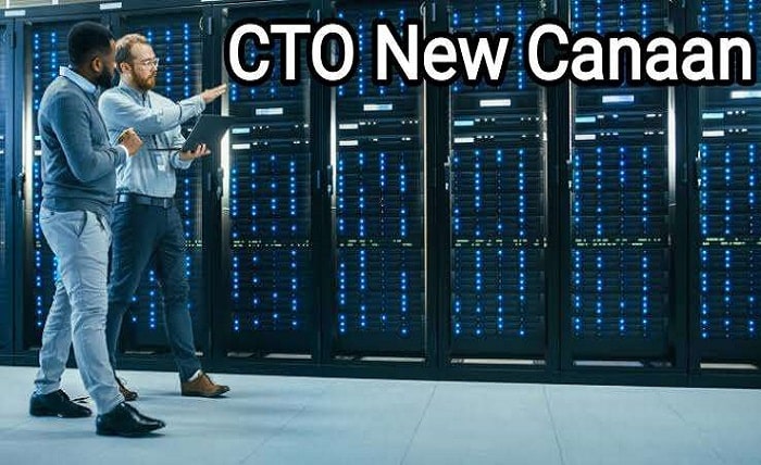 The Rise Of Cto New Canaan: