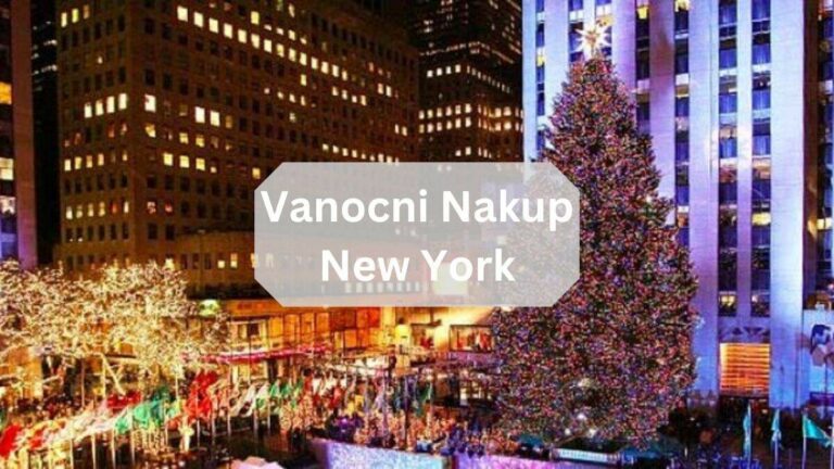 Vanocni Nakup New York