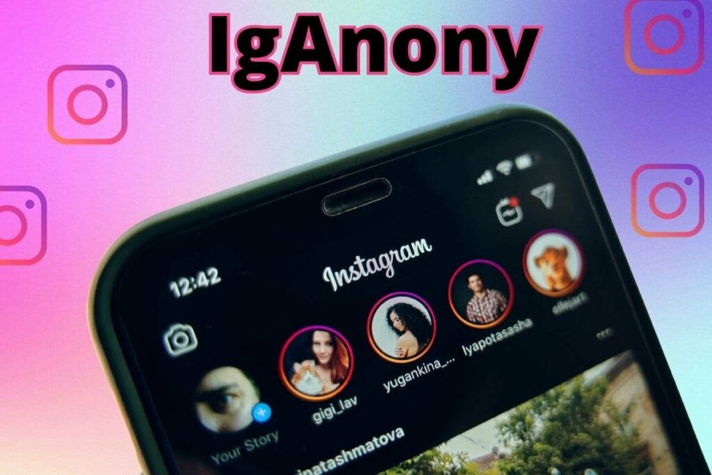 What Is IgAnony: